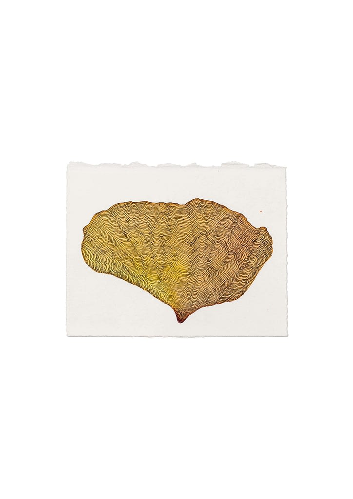 Aus der Serie „Schmetterlingslaub", 2012, Aquarell und Tusche auf Büttenpapier, 9 x 12 cm