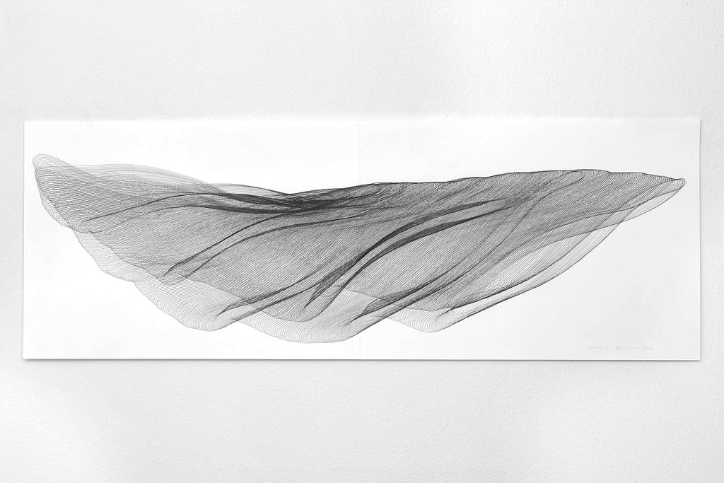 Aus der Werkgruppe „Fliessgestalten", 2009, Bleistift auf Papier, 59.4 x 168.2 cm