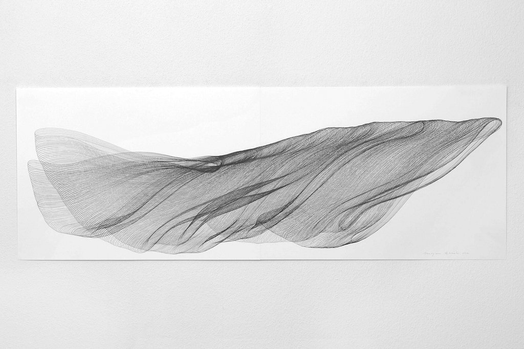 Aus der Werkgruppe „Fliessgestalten", 2010, Bleistift auf Papier, 59.4 x 168.2 cm