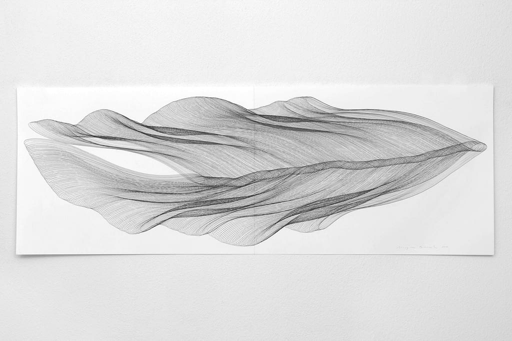Aus der Werkgruppe „Fliessgestalten", 2010, Bleistift auf Papier, 59.4 x 168.2 cm