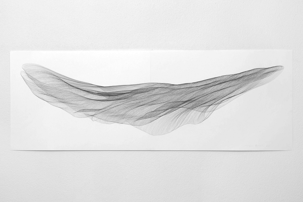 Aus der Werkgruppe „Fliessgestalten", 2015, Bleistift auf Papier, 59.4 x 168.2 cm