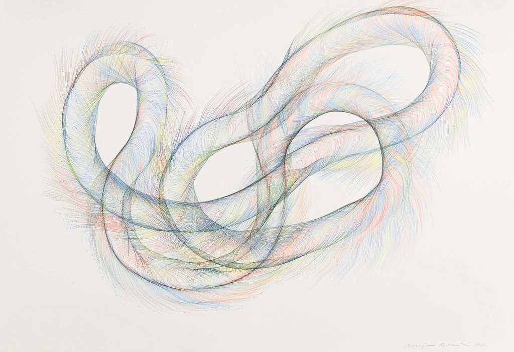 Aus der Werkgruppe „Verschlungen“, 2022, Farbstift auf Papier, 59.4 x 84.1 cm