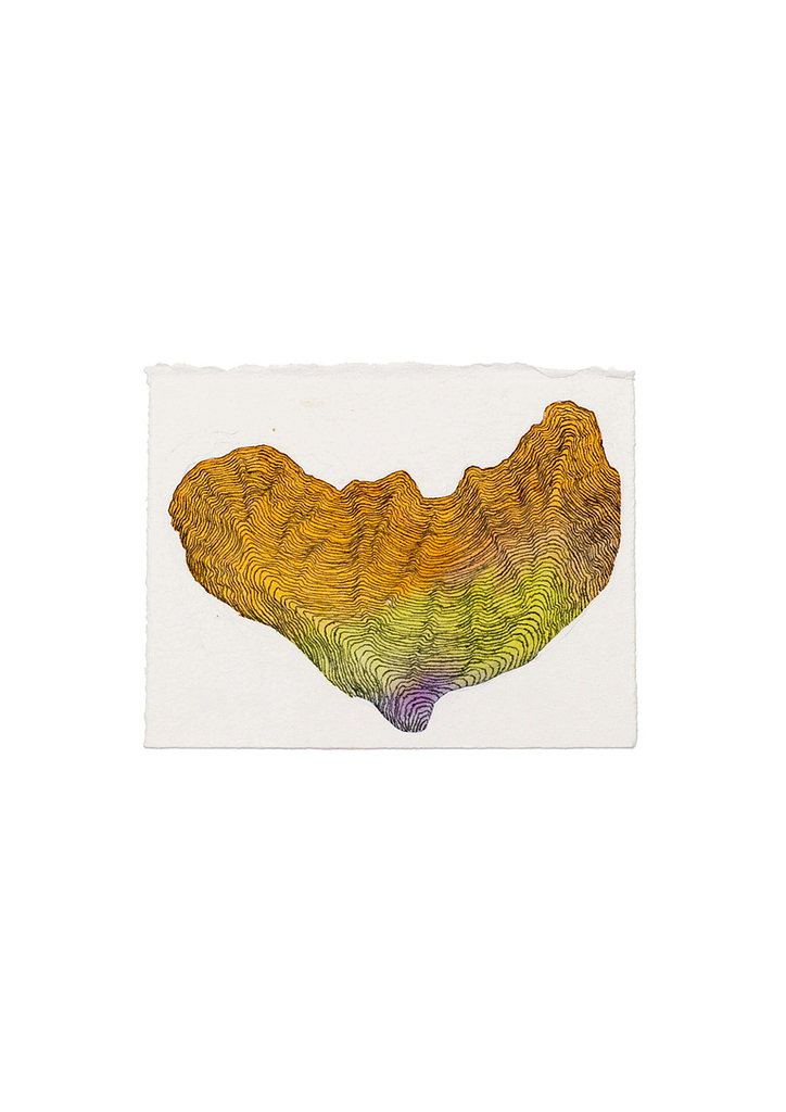 Aus der Serie "Schmetterlingslaub", 2012, Aquarell und Tusche auf Büttenpapier, 9 x 12 cm